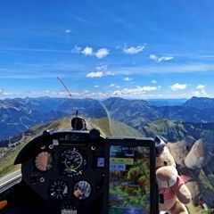 unverortetes Flugbild